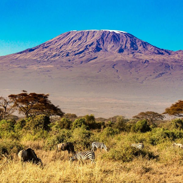 Kilimanjaro